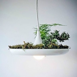 Aluminium Droplight Nordic Creative Contracted Sky Garden Lamper og lanterner Light No Soil Plant