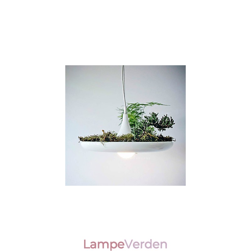 Aluminium Droplight Nordic Creative Contracted Sky Garden Lamper og lanterner Light No Soil Plant