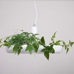 Aluminium Droplight Nordic Creative Contracted Sky Garden Lamper og lanterner Light No Soil Plant