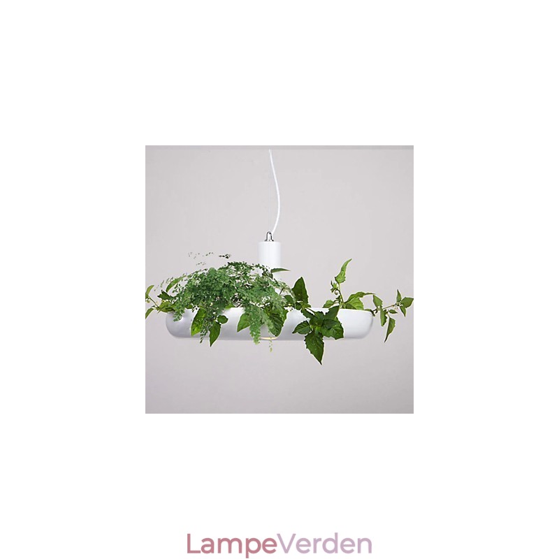 Aluminium Droplight Nordic Creative Contracted Sky Garden Lamper og lanterner Light No Soil Plant