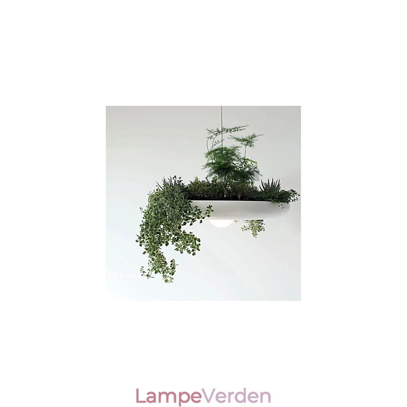 Aluminium Droplight Nordic Creative Contracted Sky Garden Lamper og lanterner Light No Soil Plant