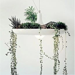 Aluminium Droplight Nordic Creative Contracted Sky Garden Lamper og lanterner Light No Soil Plant