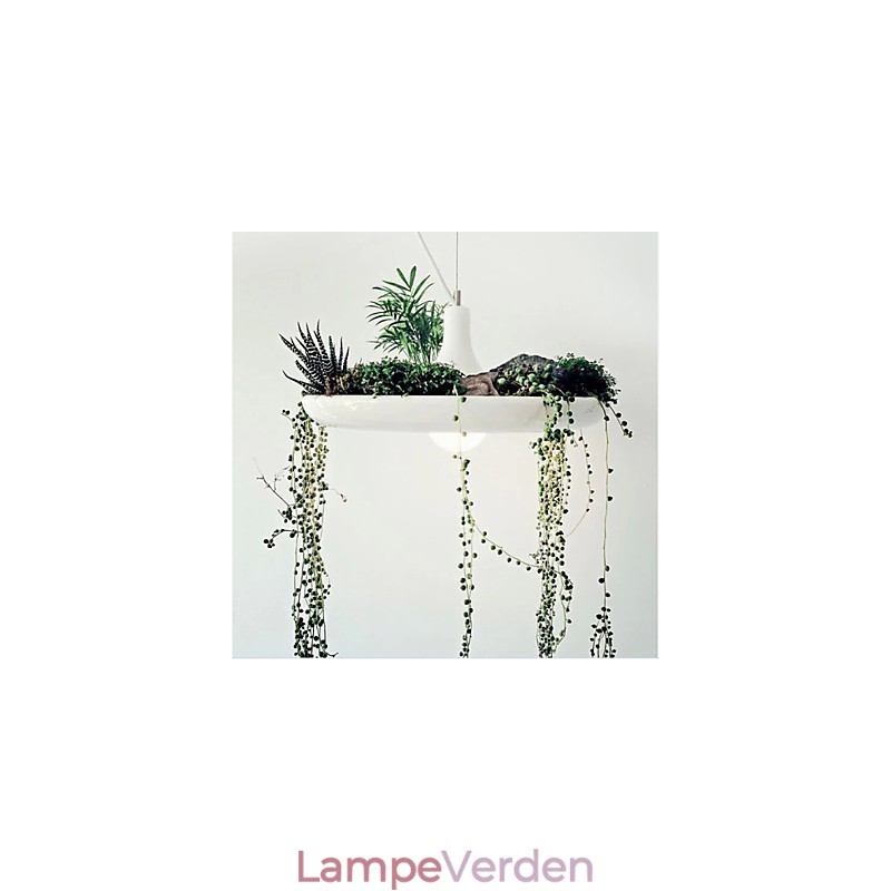 Aluminium Droplight Nordic Creative Contracted Sky Garden Lamper og lanterner Light No Soil Plant