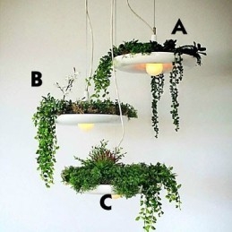 Aluminium Droplight Nordic Creative Contracted Sky Garden Lamper og lanterner Light No Soil Plant