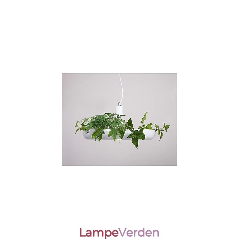 Ren hvid moderne moderne dekorativt design pendel-familie